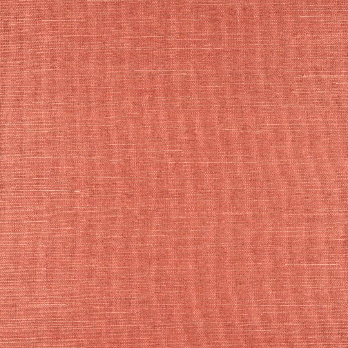 Sisal - SID132