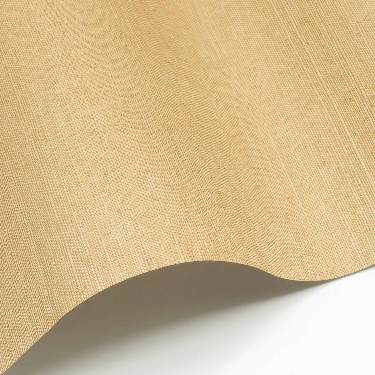 Sisal - SID137