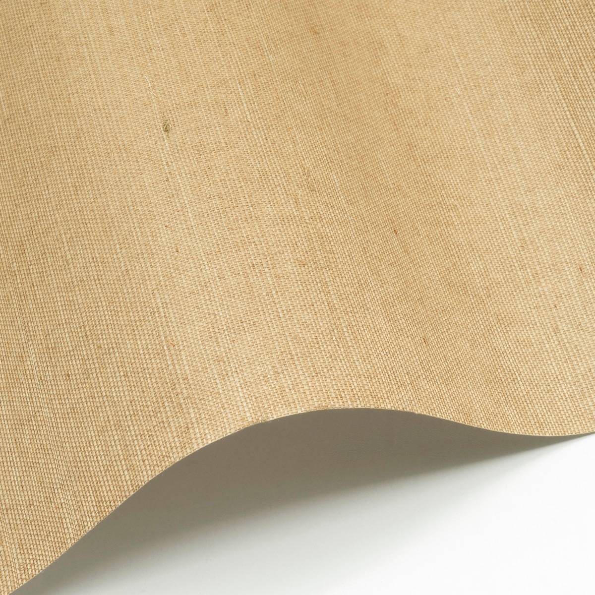 Sisal - SID138