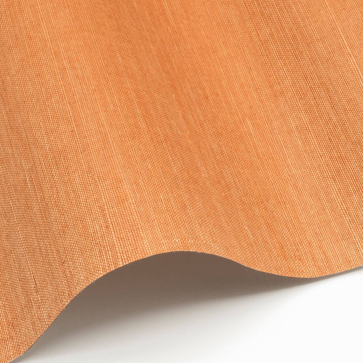 Sisal - SID145