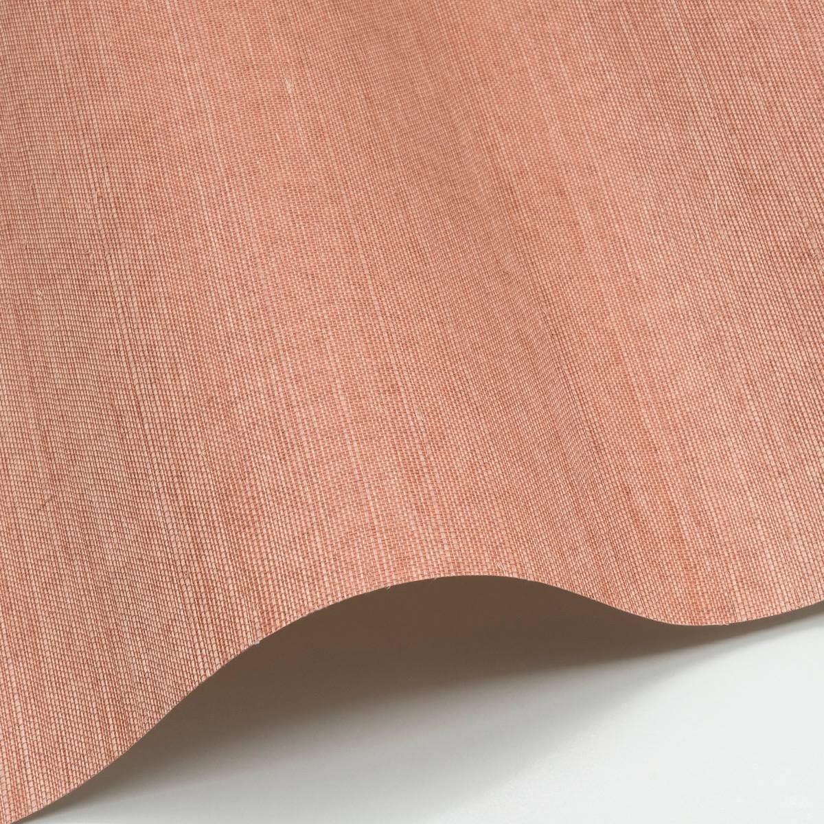 Sisal - SID149