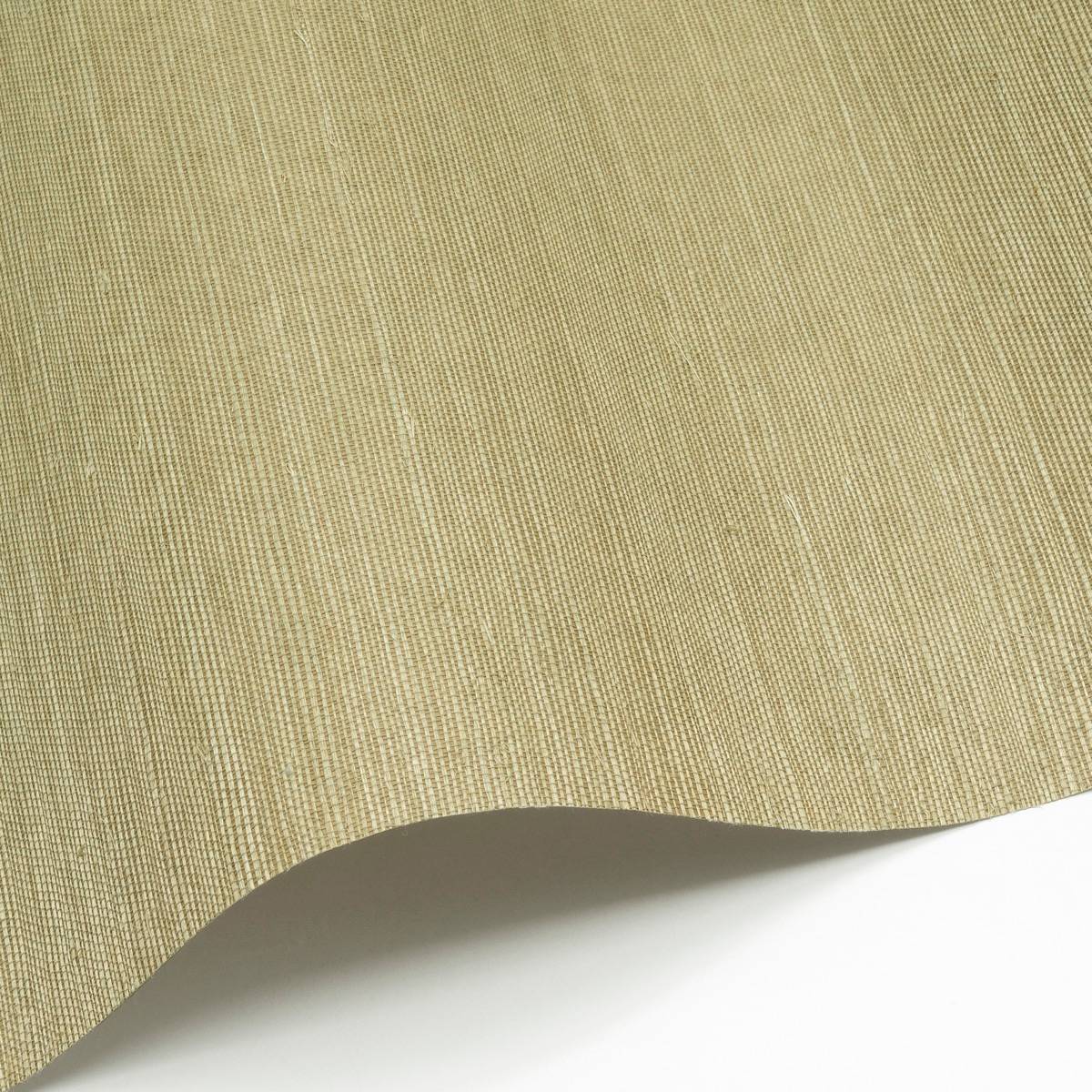 Sisal - SID155