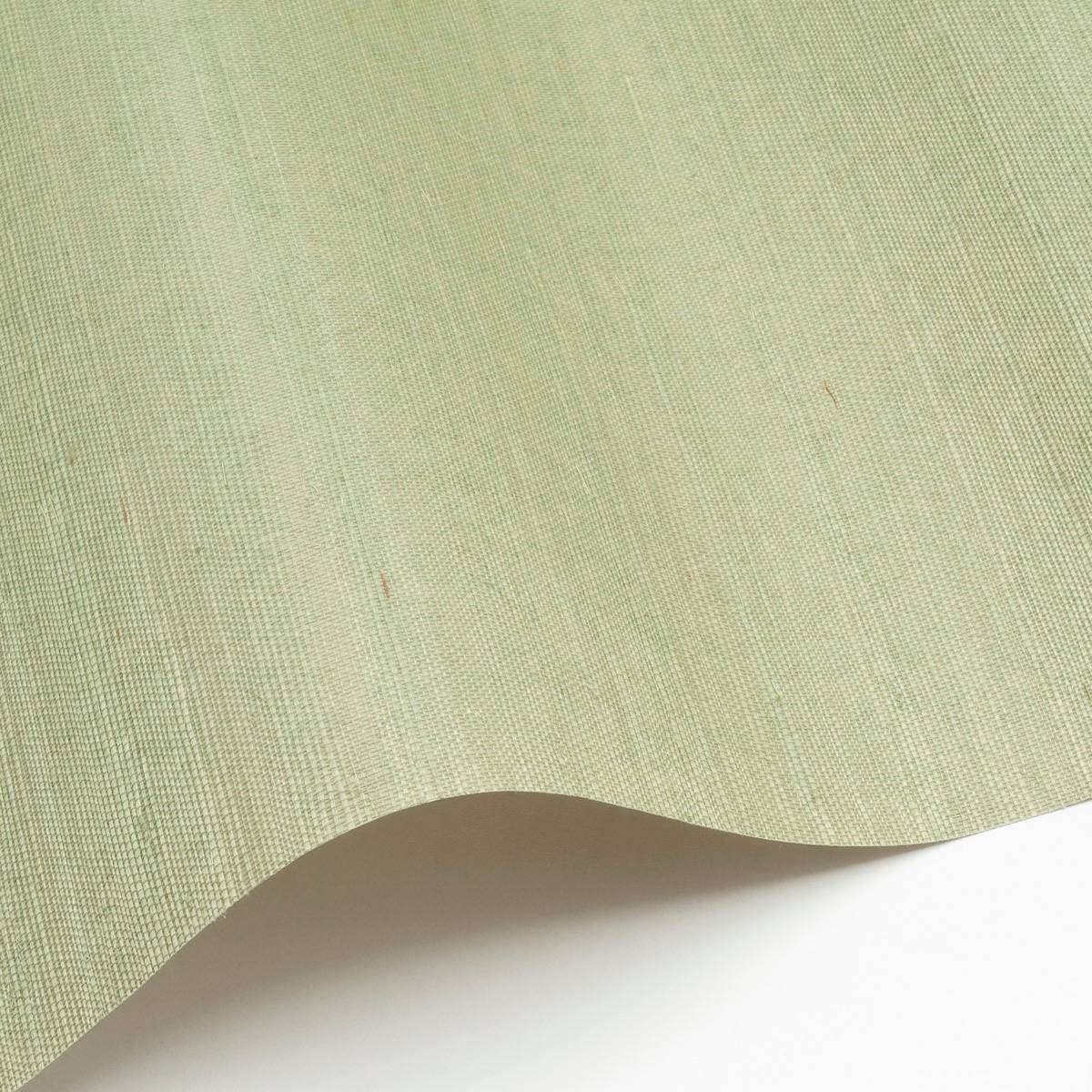 Sisal - SID156