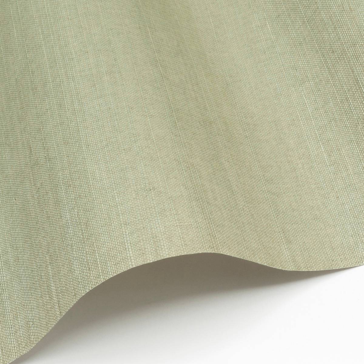 Sisal - SID157