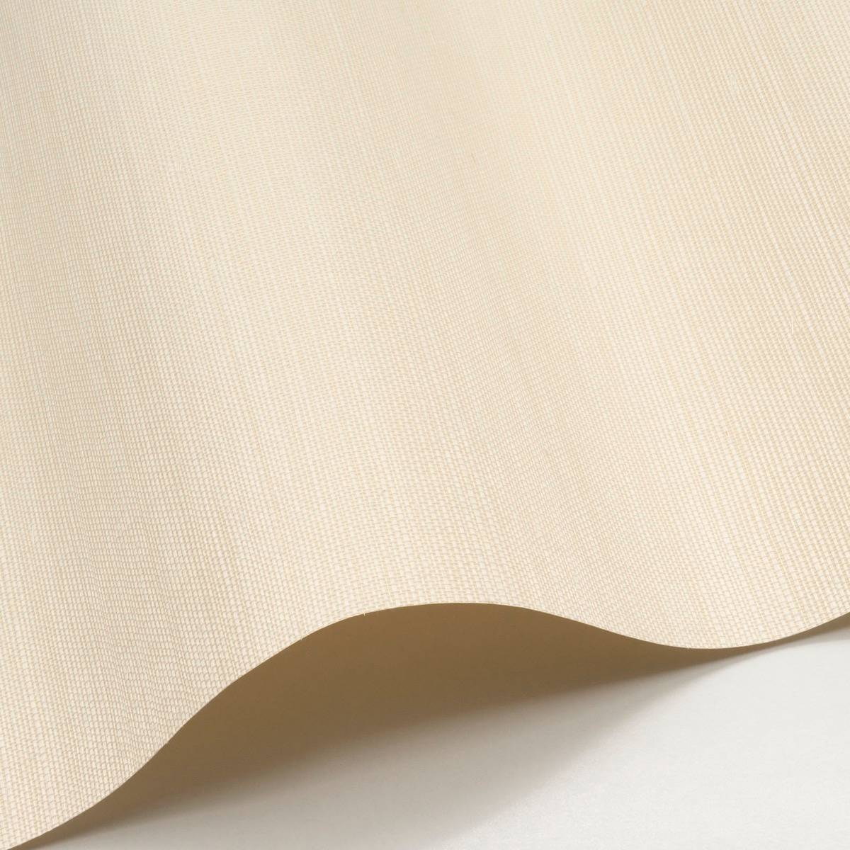 Sisal - SID61