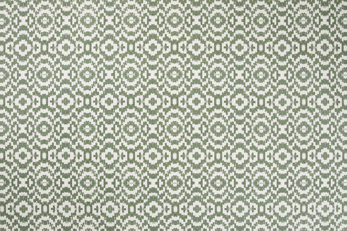 Echo - Olive