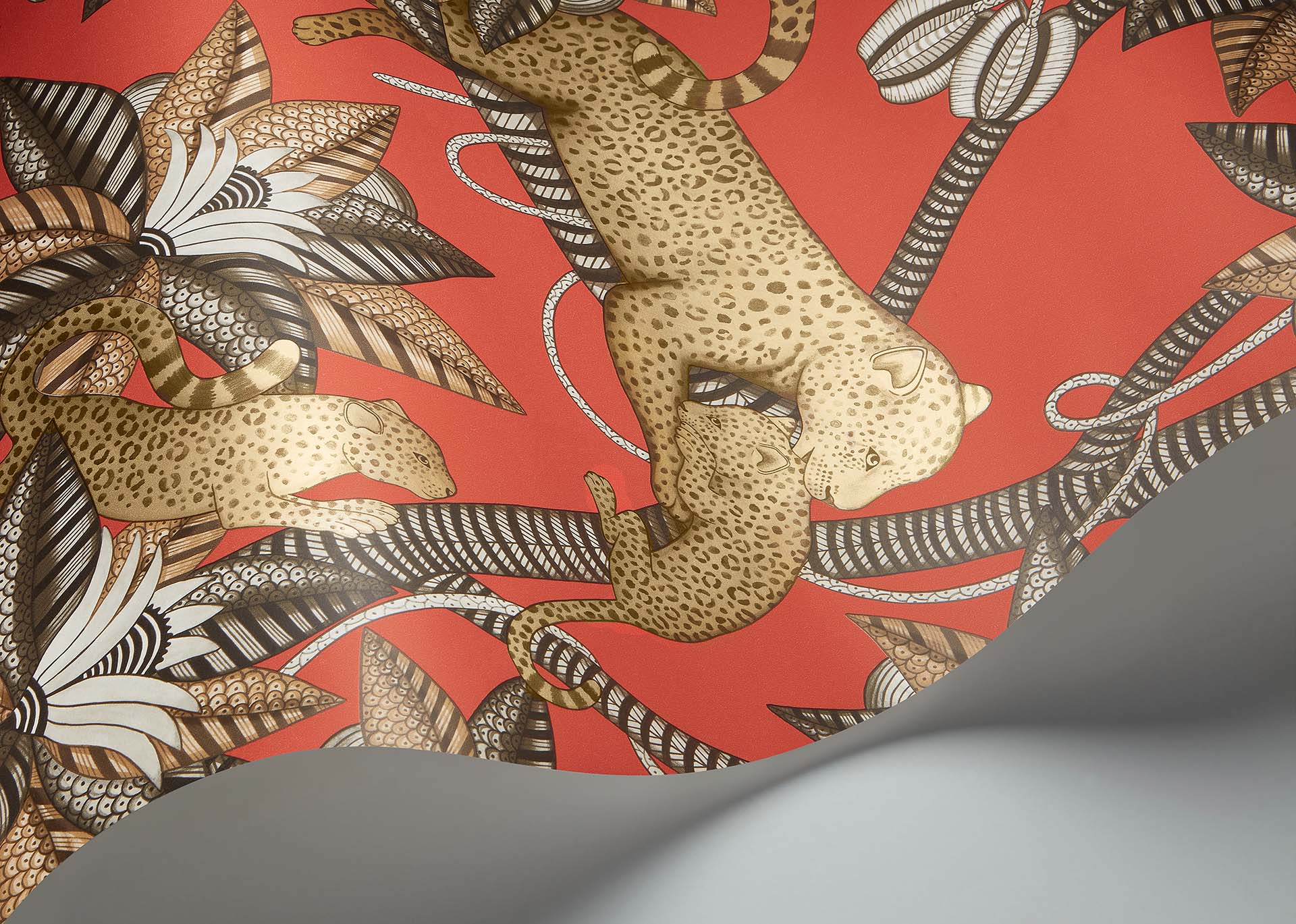 Cole & Son Satara - interior