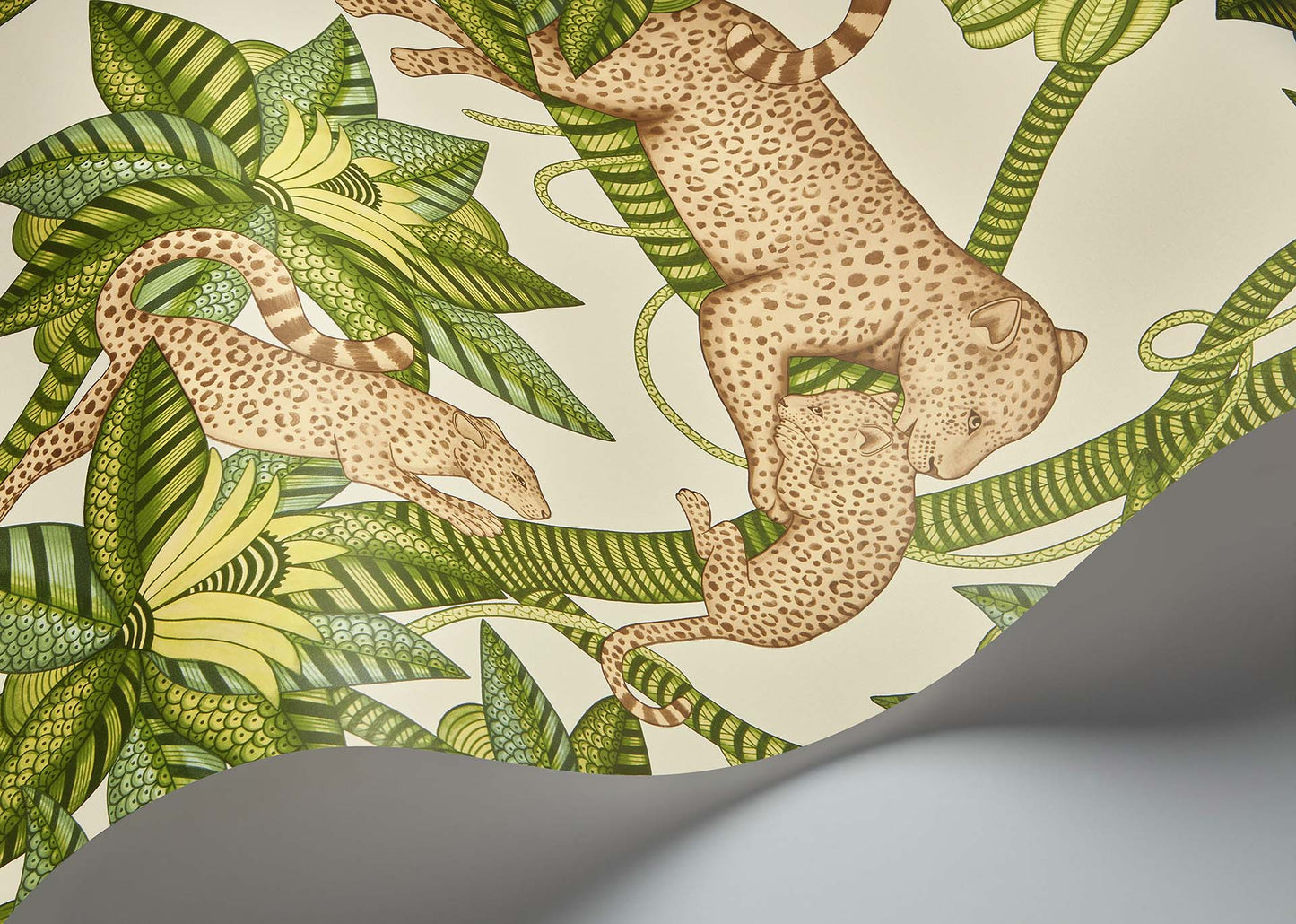 Cole & Son Satara - interior