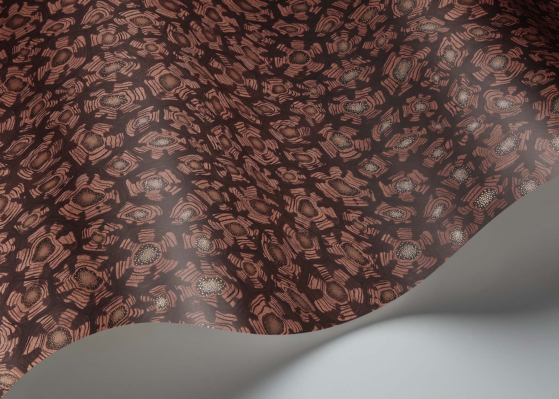 Cole & Son Savanna Shell - interior