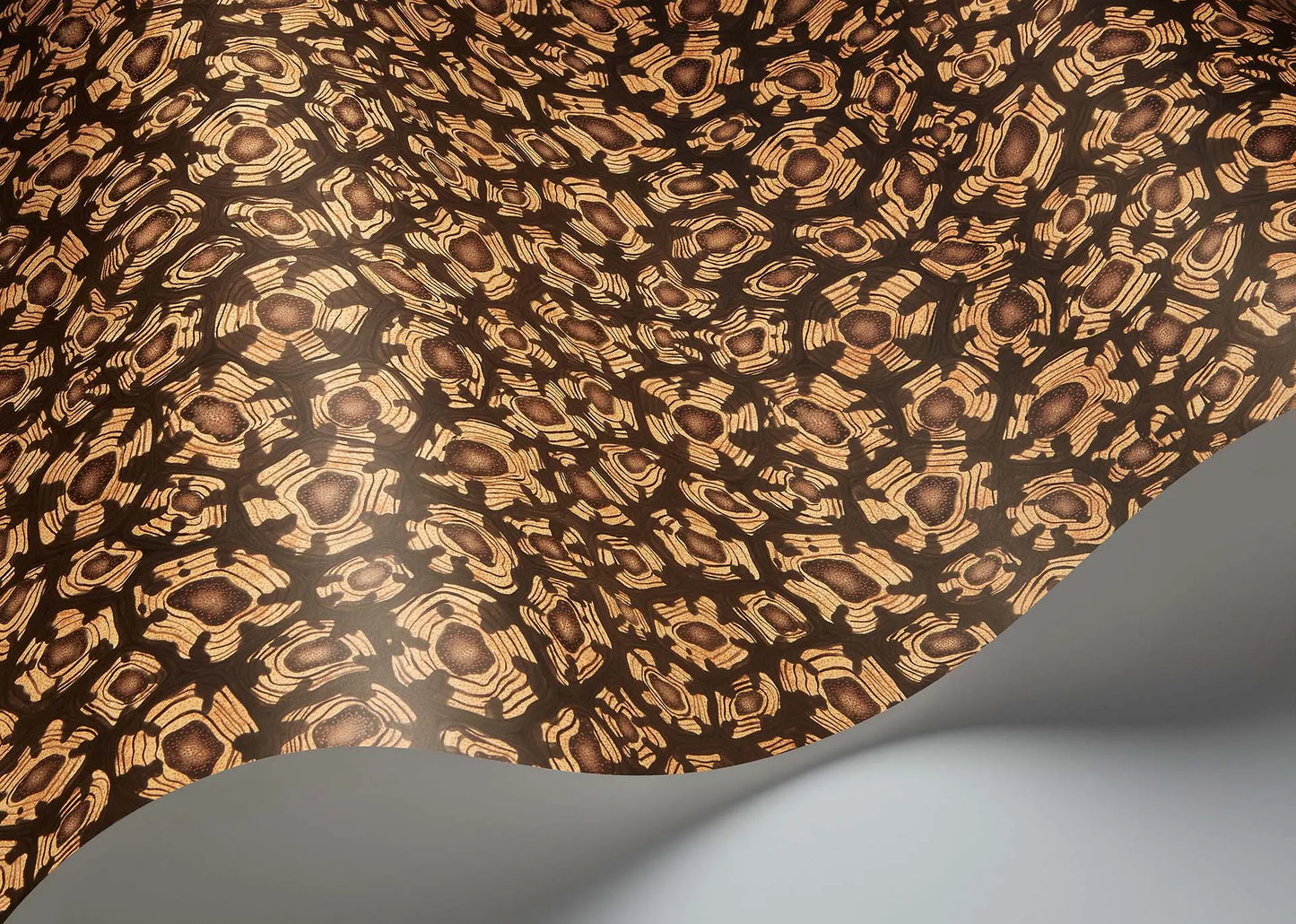 Cole & Son Savanna Shell - interior