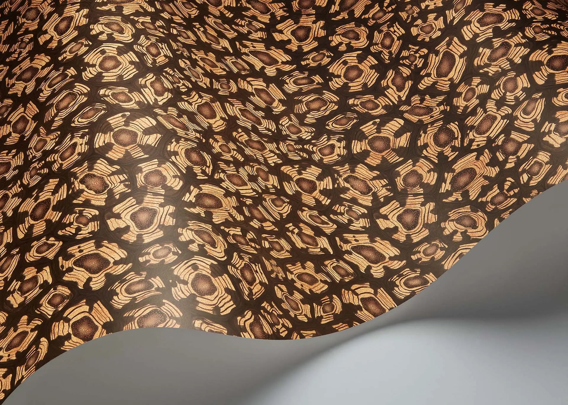 Cole & Son Savanna Shell - interior