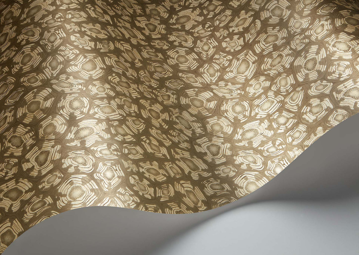 Cole & Son Savanna Shell - interior