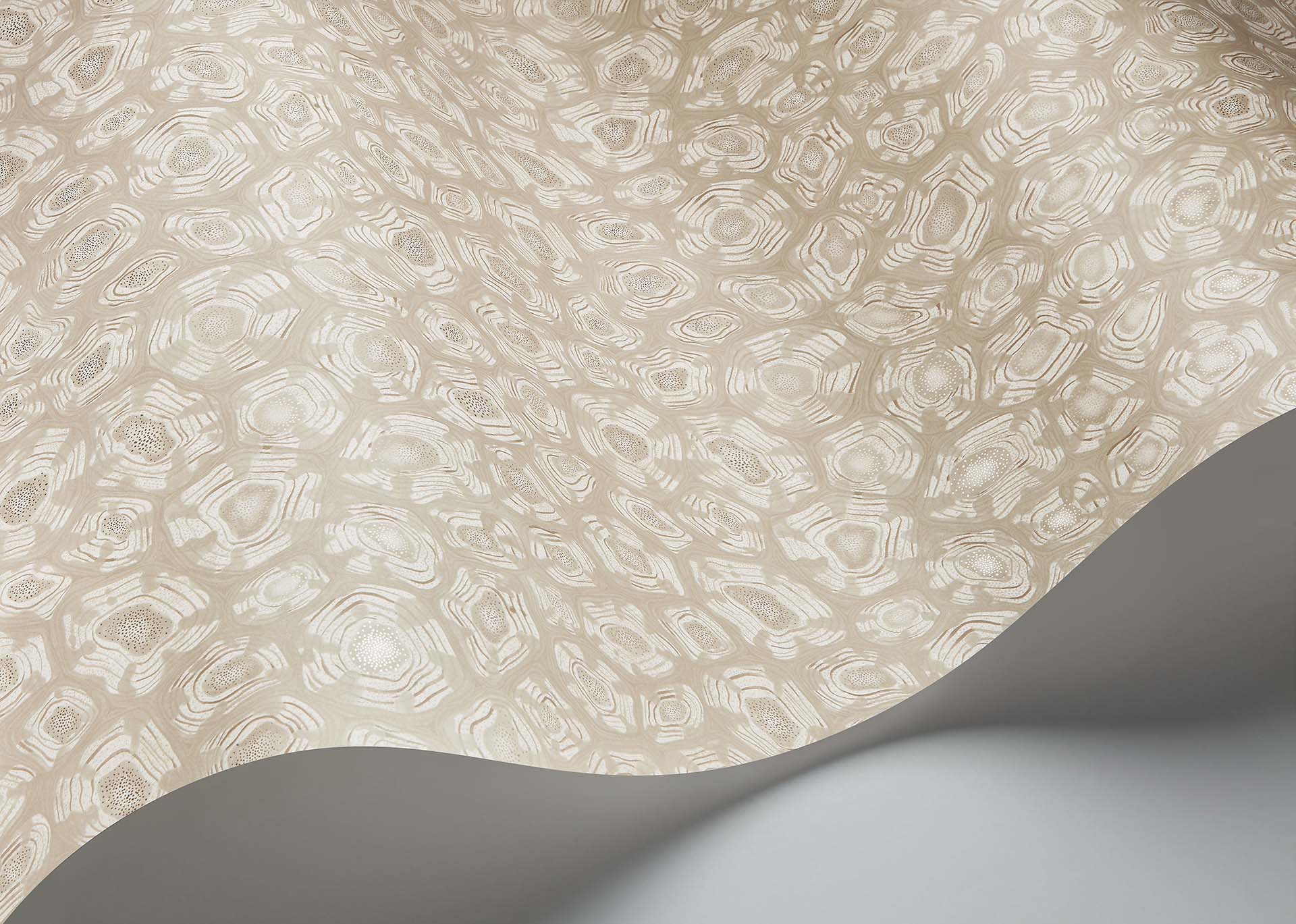 Cole & Son Savanna Shell - interior