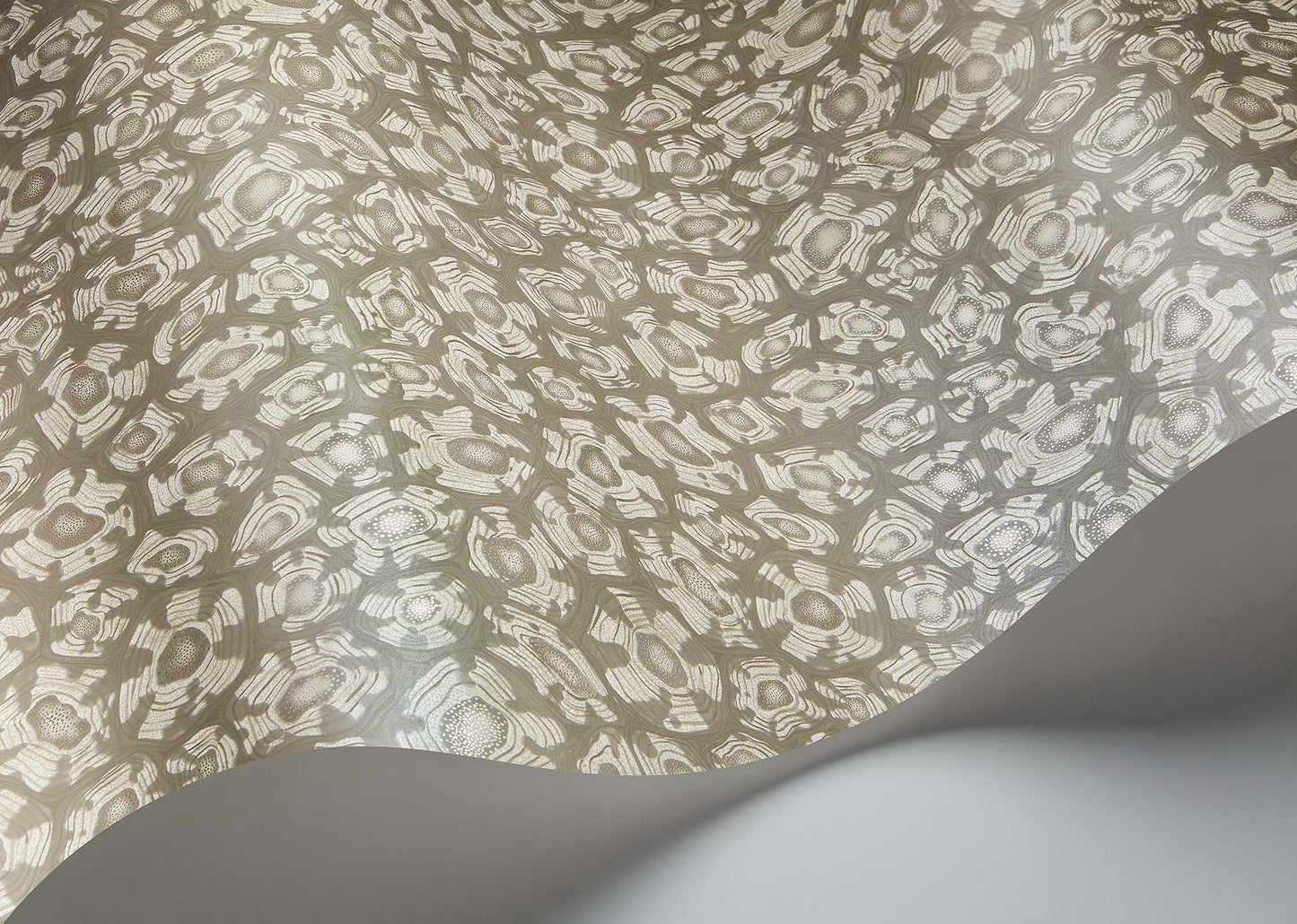 Cole & Son Savanna Shell - interior