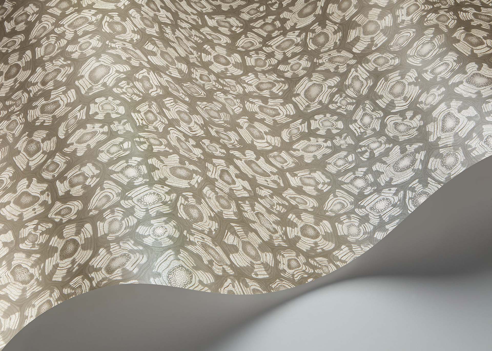 Cole & Son Savanna Shell - interior