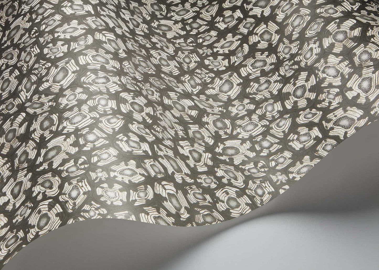 Cole & Son Savanna Shell - interior