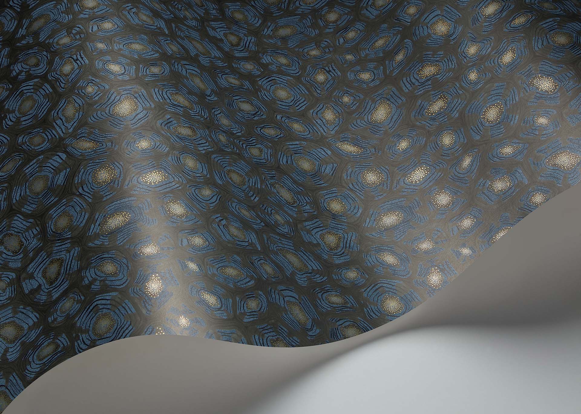 Cole & Son Savanna Shell - interior