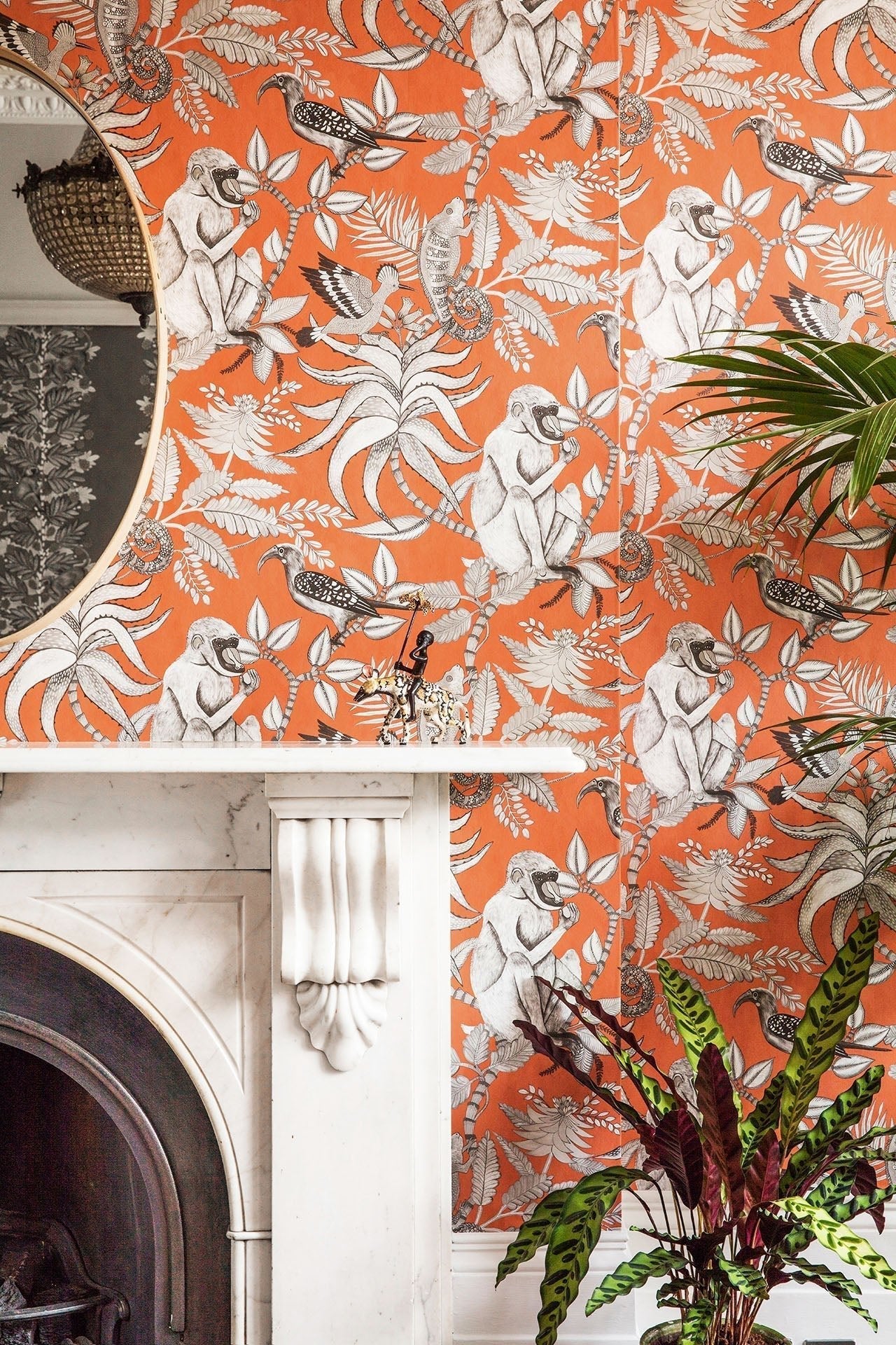 Cole & Son Savuti - interior