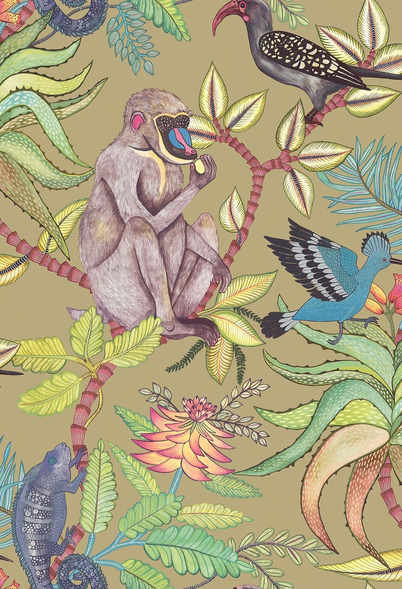 Cole & Son Savuti - Bright Multi on Old Olive