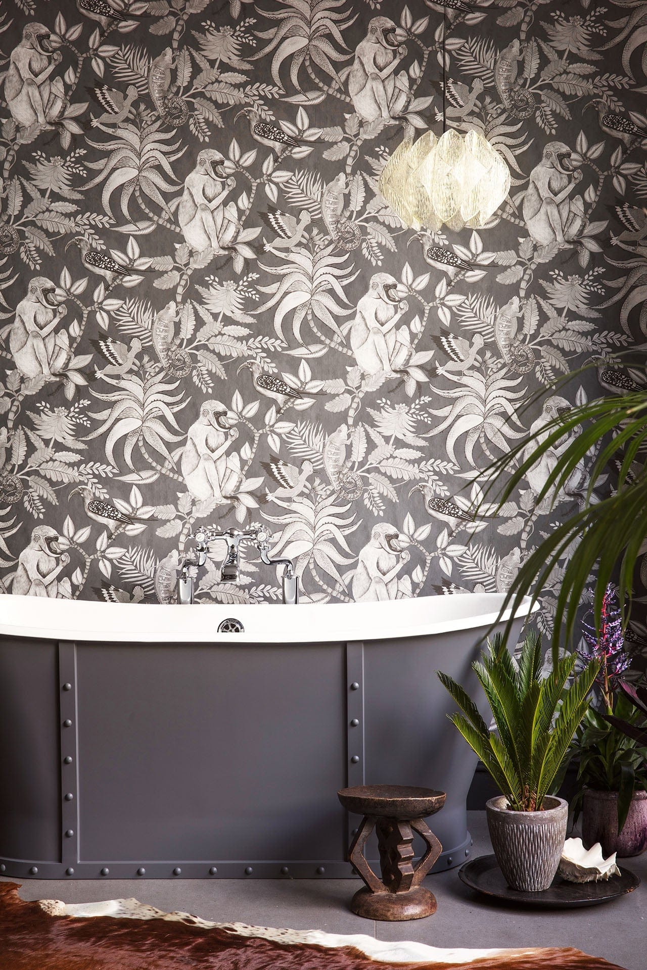 Cole & Son Savuti - interior