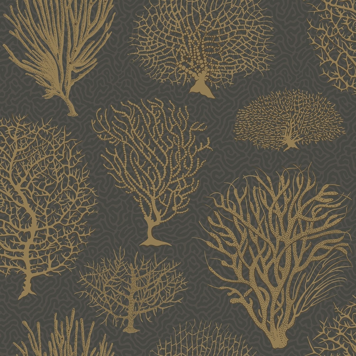Cole & Son Seafern wallpaper - Metallic Gold on Charcoal