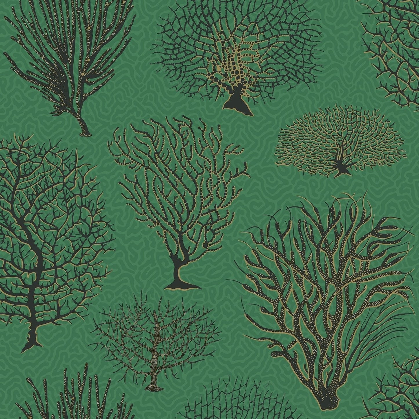 Cole & Son Seafern - Charcoal & Metallic Gold on Emerald