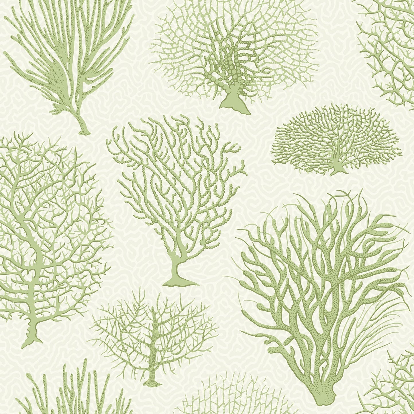 Cole & Son Seafern - Olive Green on White