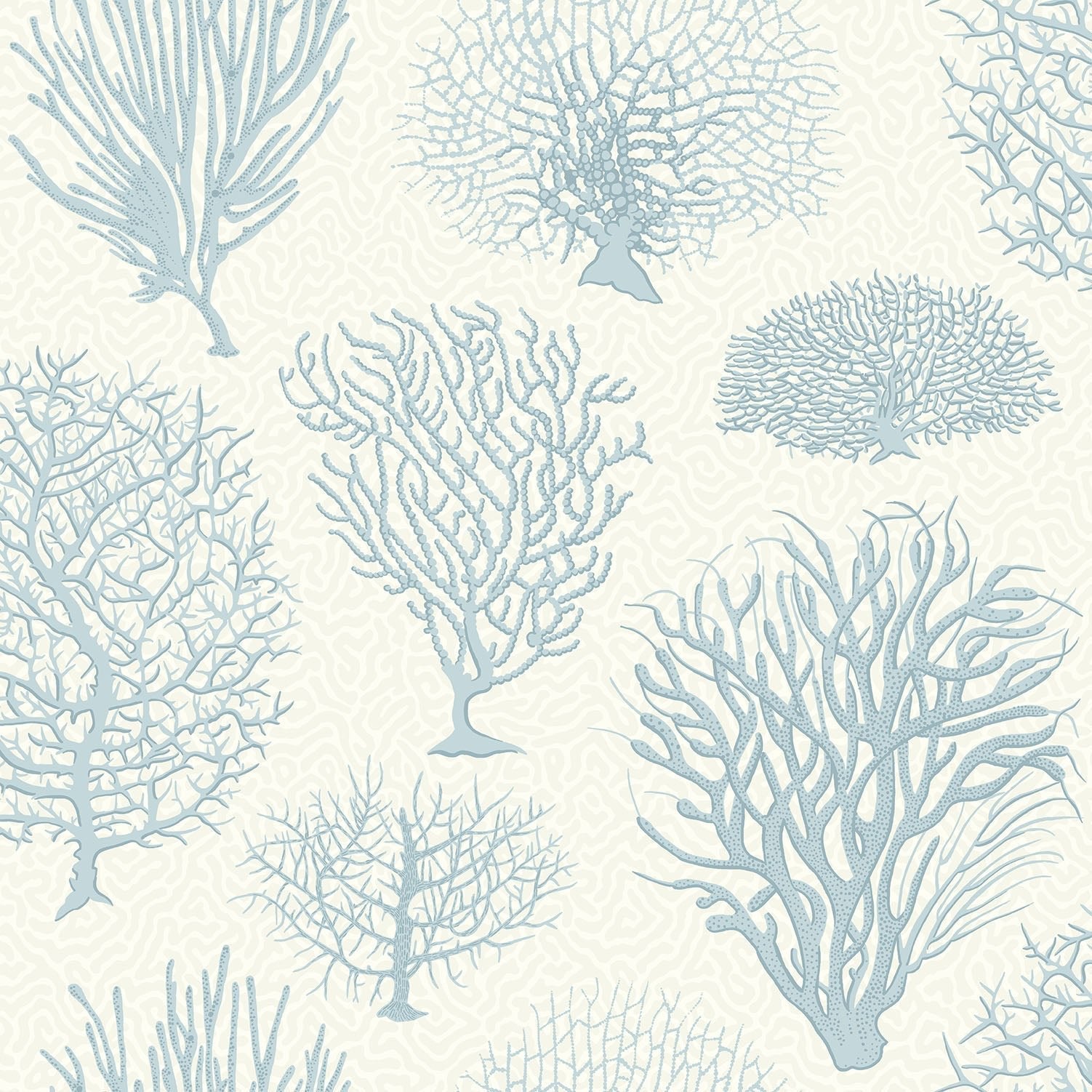 Cole & Son Seafern - Ice Blue on Chalk