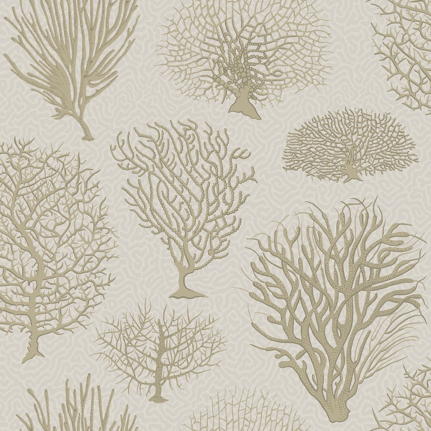 Cole & Son Seafern - Metallic Gilver on Stone