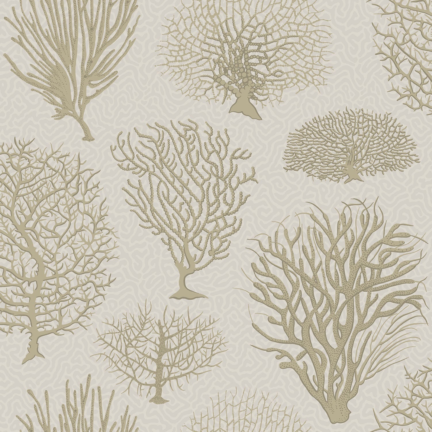 Cole & Son Seafern - Metallic Gilver on Stone