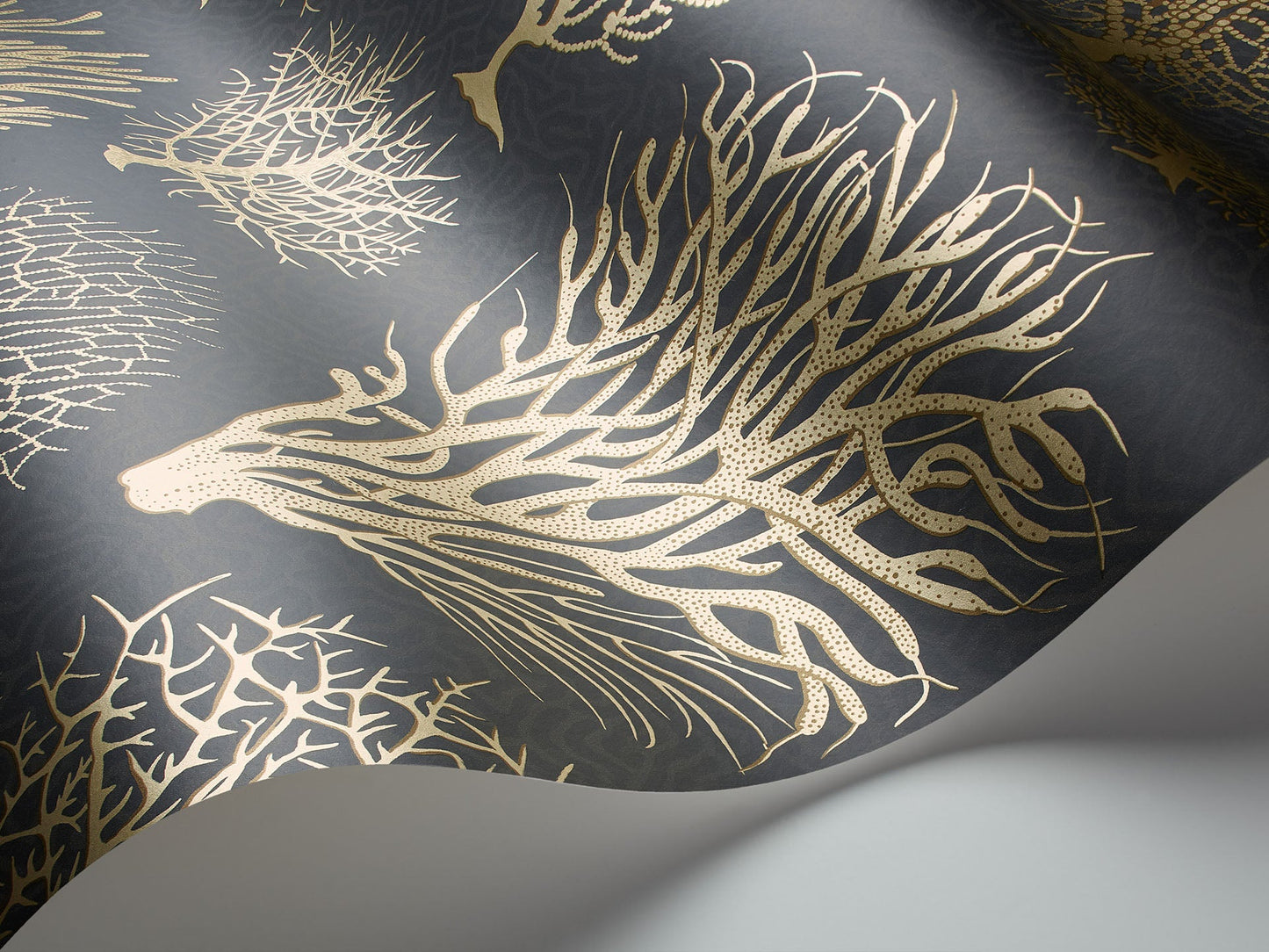 Cole & Son Seafern - interior