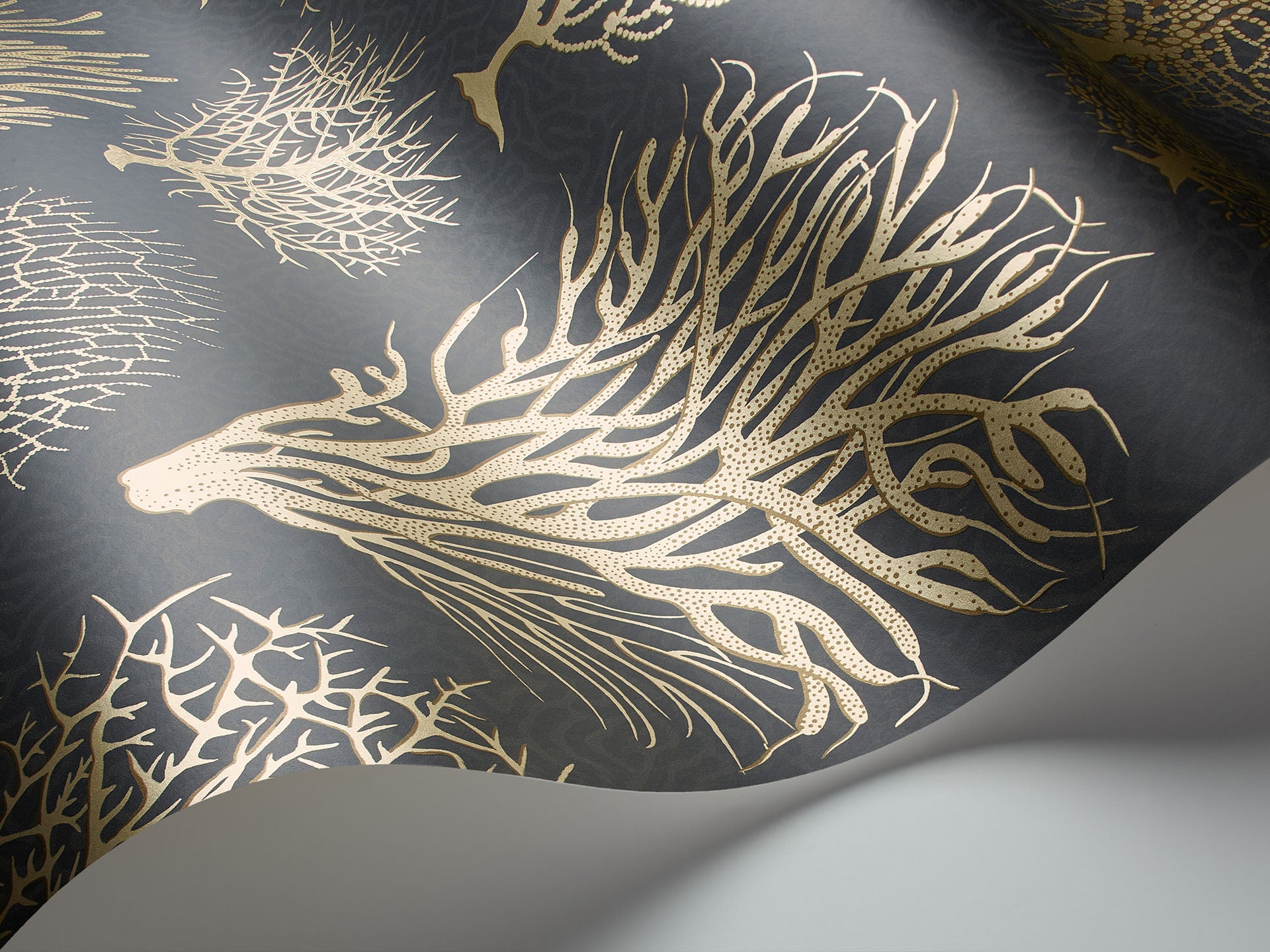 Cole & Son Seafern - interior