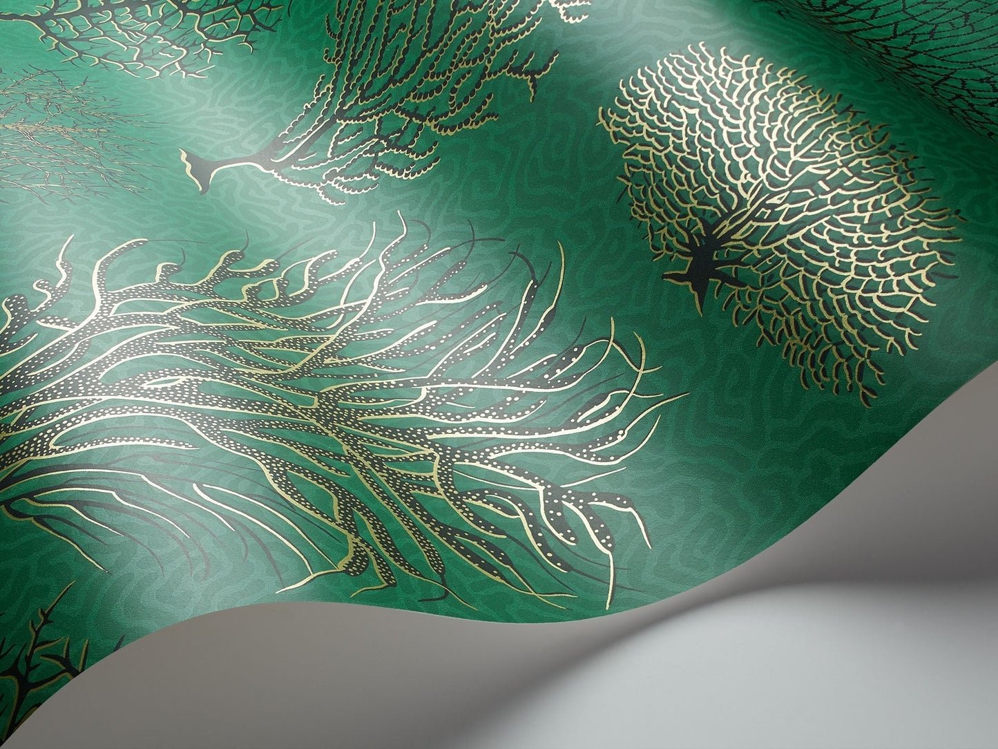 Cole & Son Seafern - interior