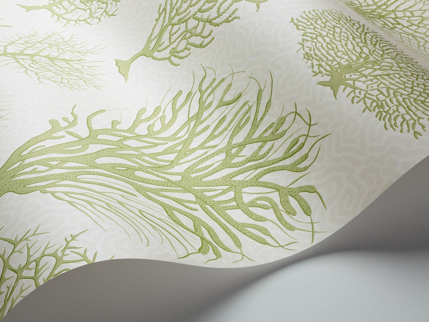 Cole & Son Seafern - interior