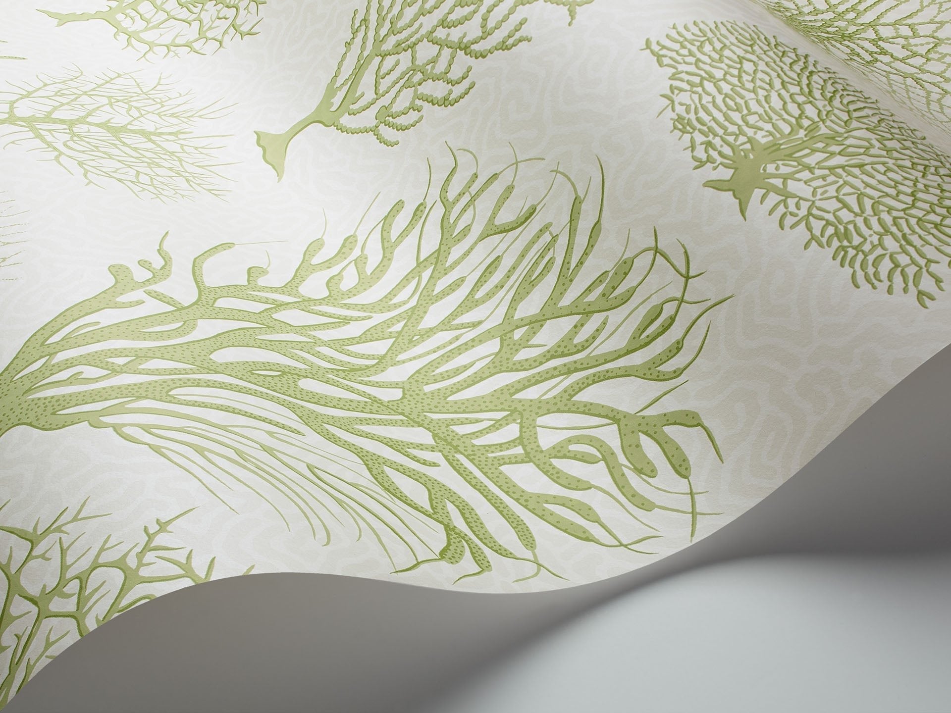 Cole & Son Seafern - interior