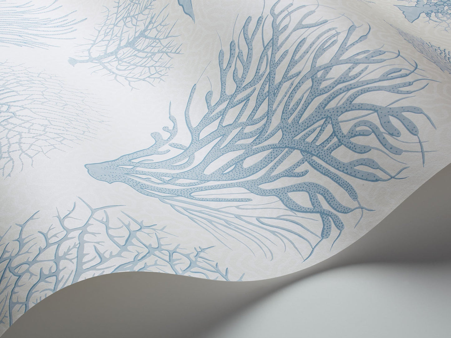 Cole & Son Seafern - interior