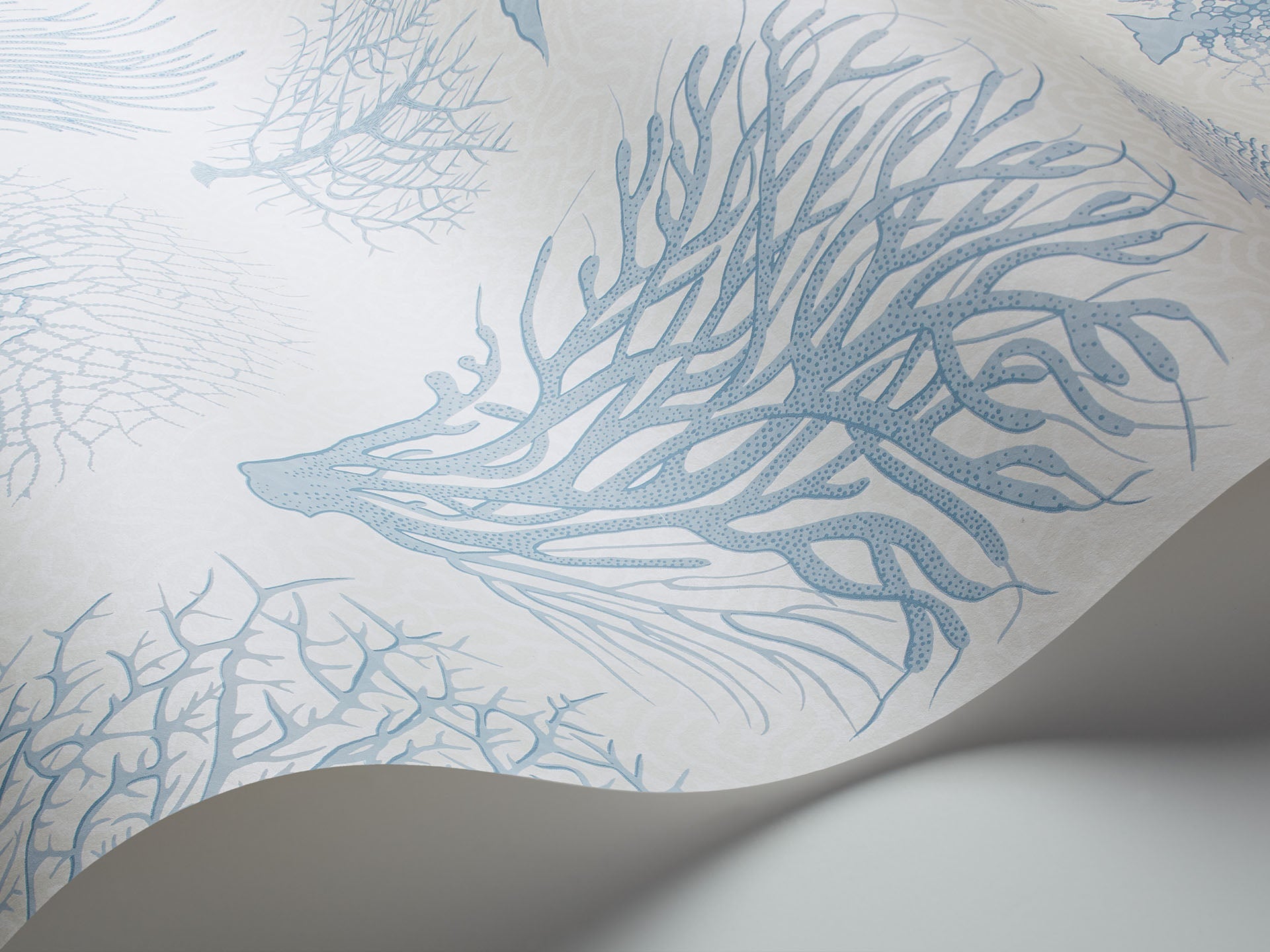 Cole & Son Seafern - interior