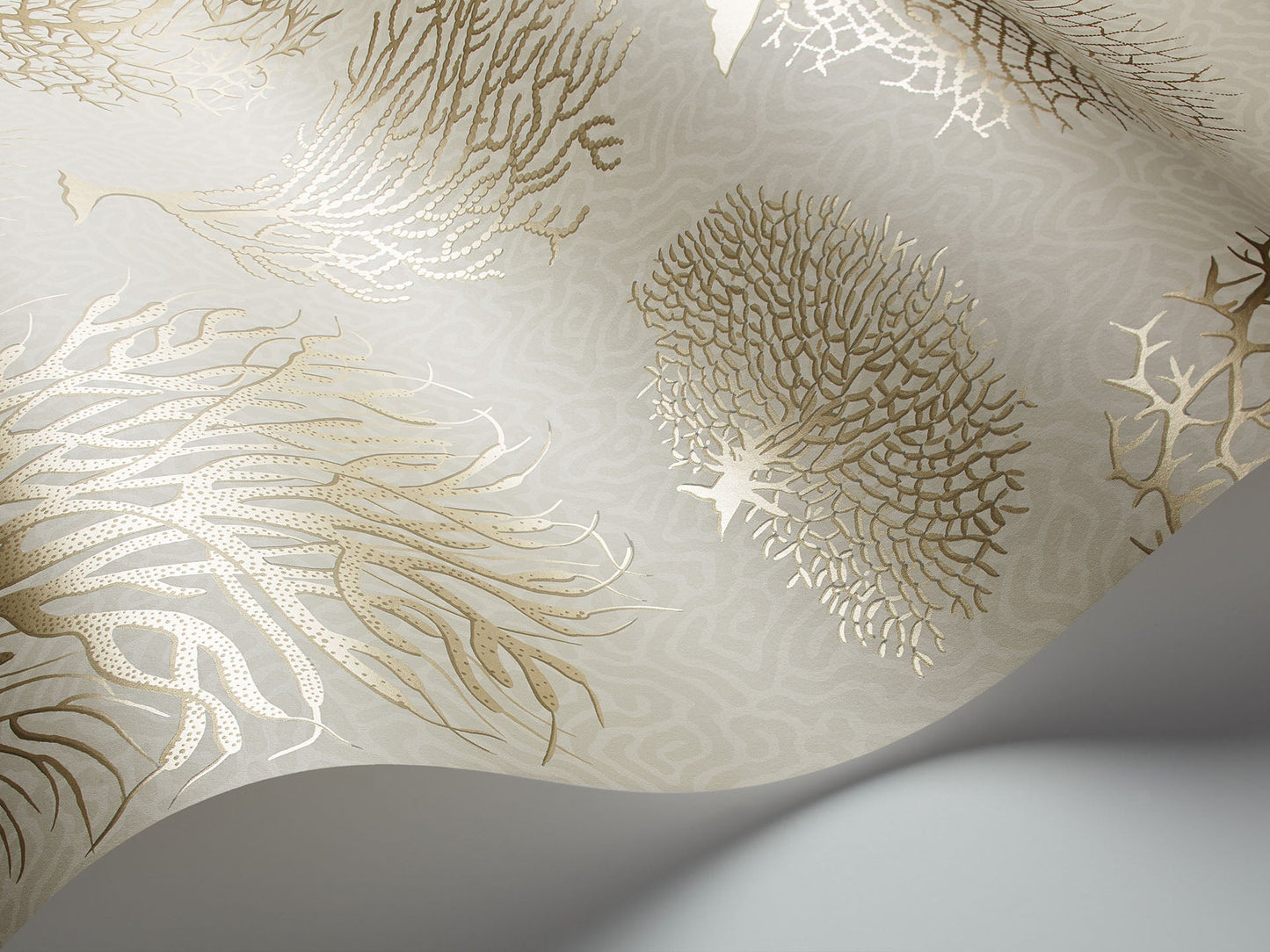 Cole & Son Seafern - interior
