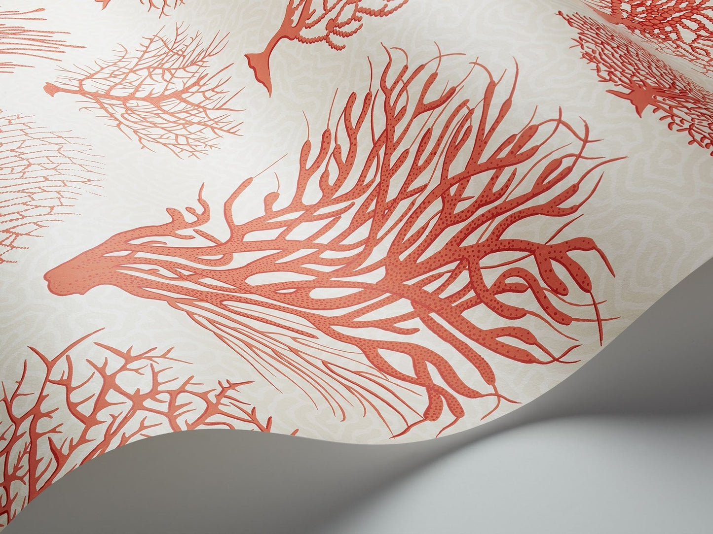 Cole & Son Seafern - interior