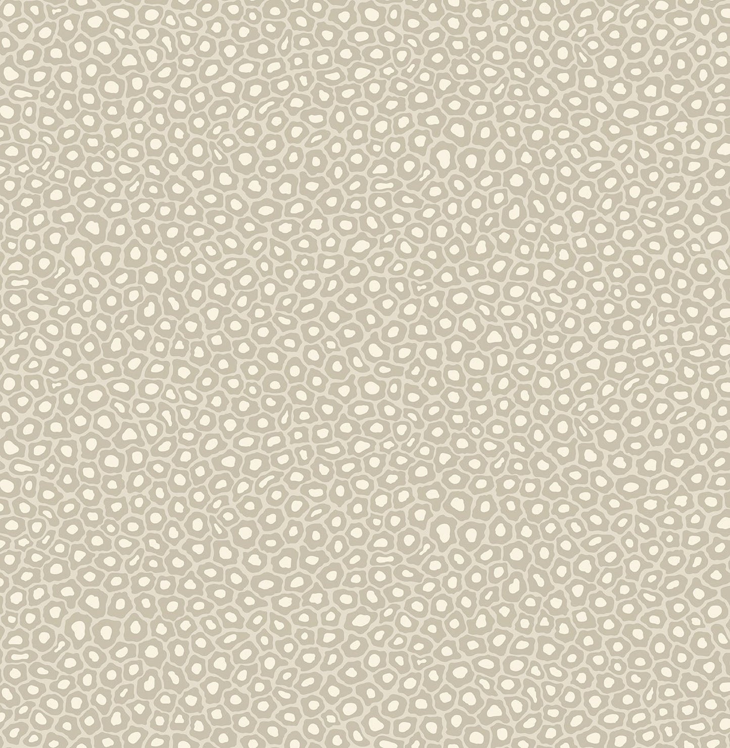 Cole & Son Senzo Spot - Stone & Chalk