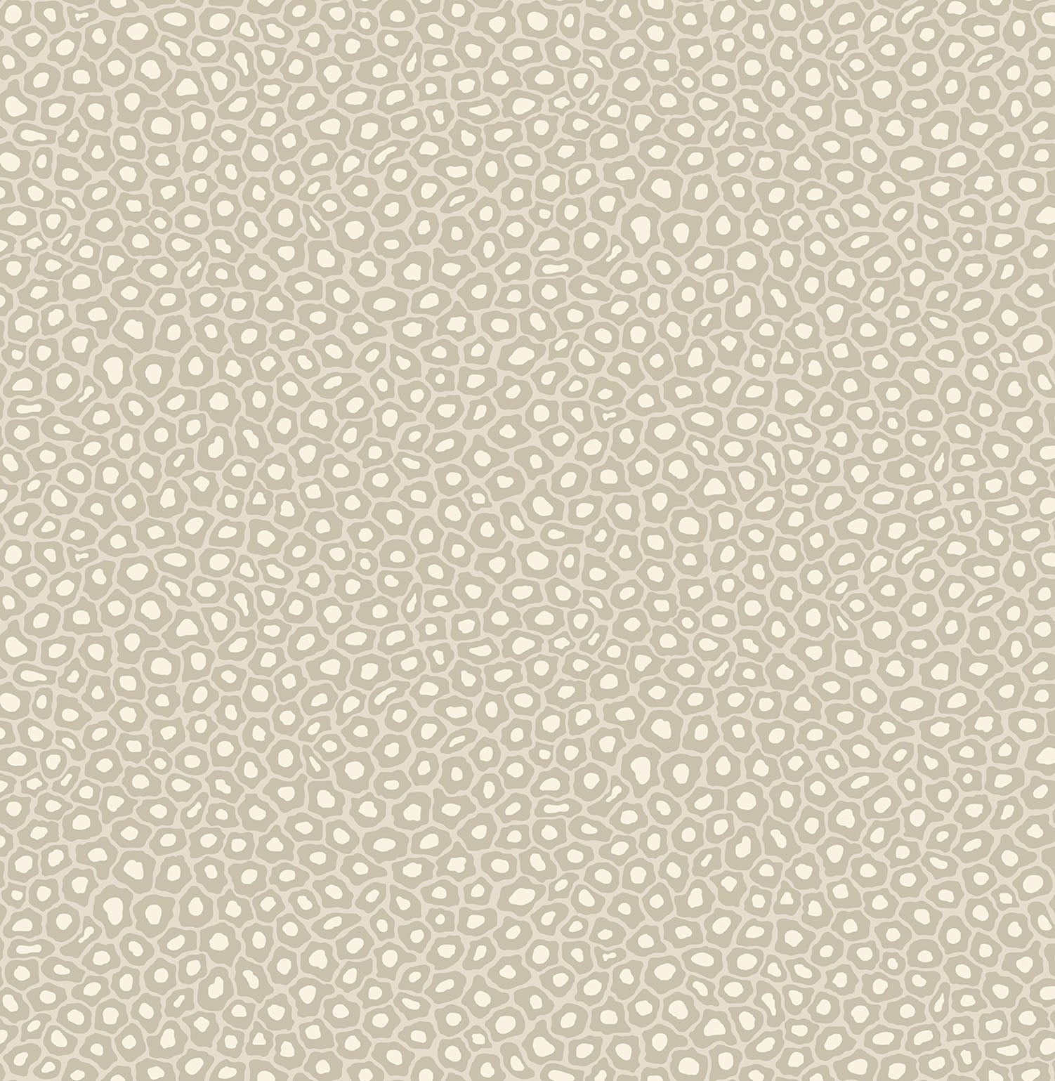 Cole & Son Senzo Spot - Stone & Chalk