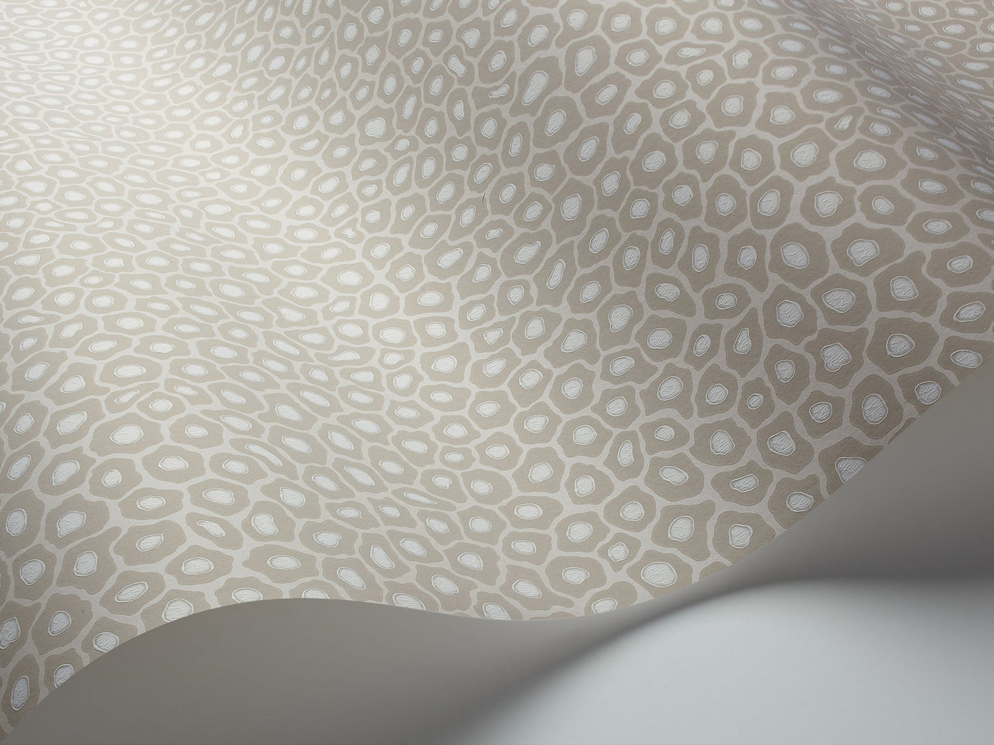 Cole & Son Senzo Spot - interior