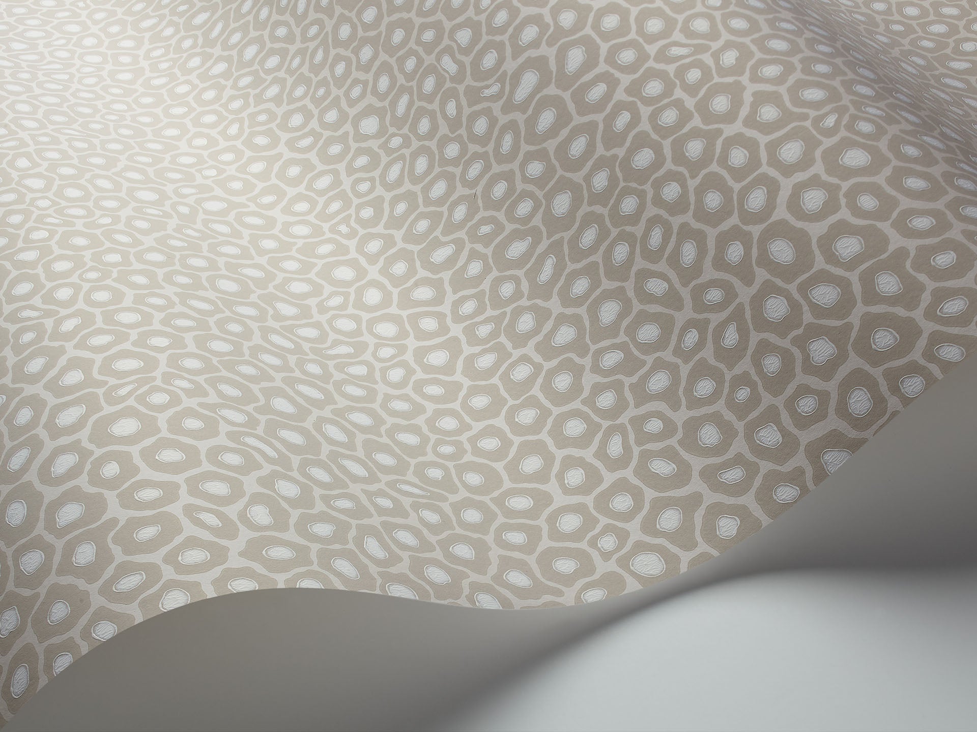 Cole & Son Senzo Spot - interior