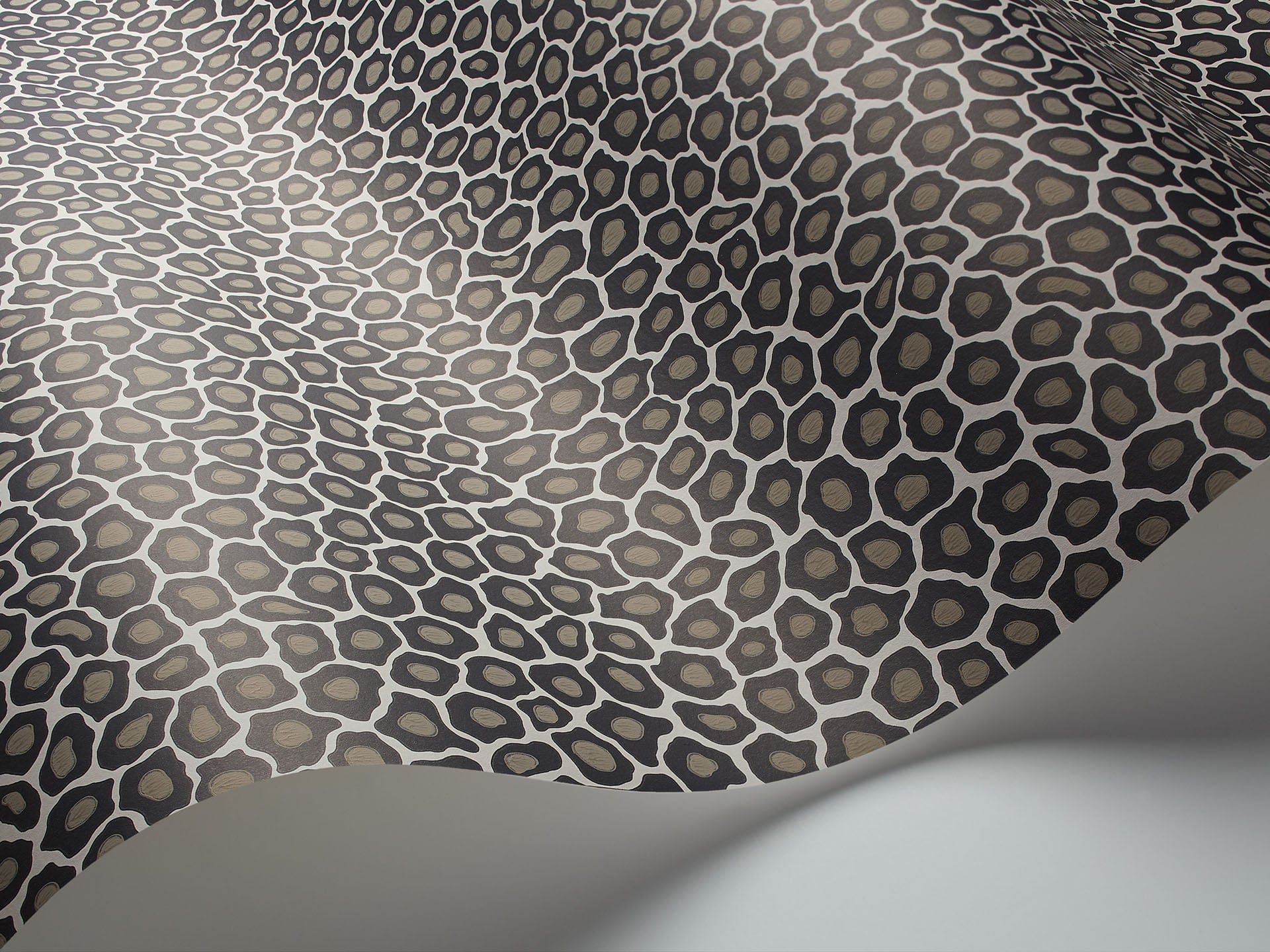 Cole & Son Senzo Spot - interior