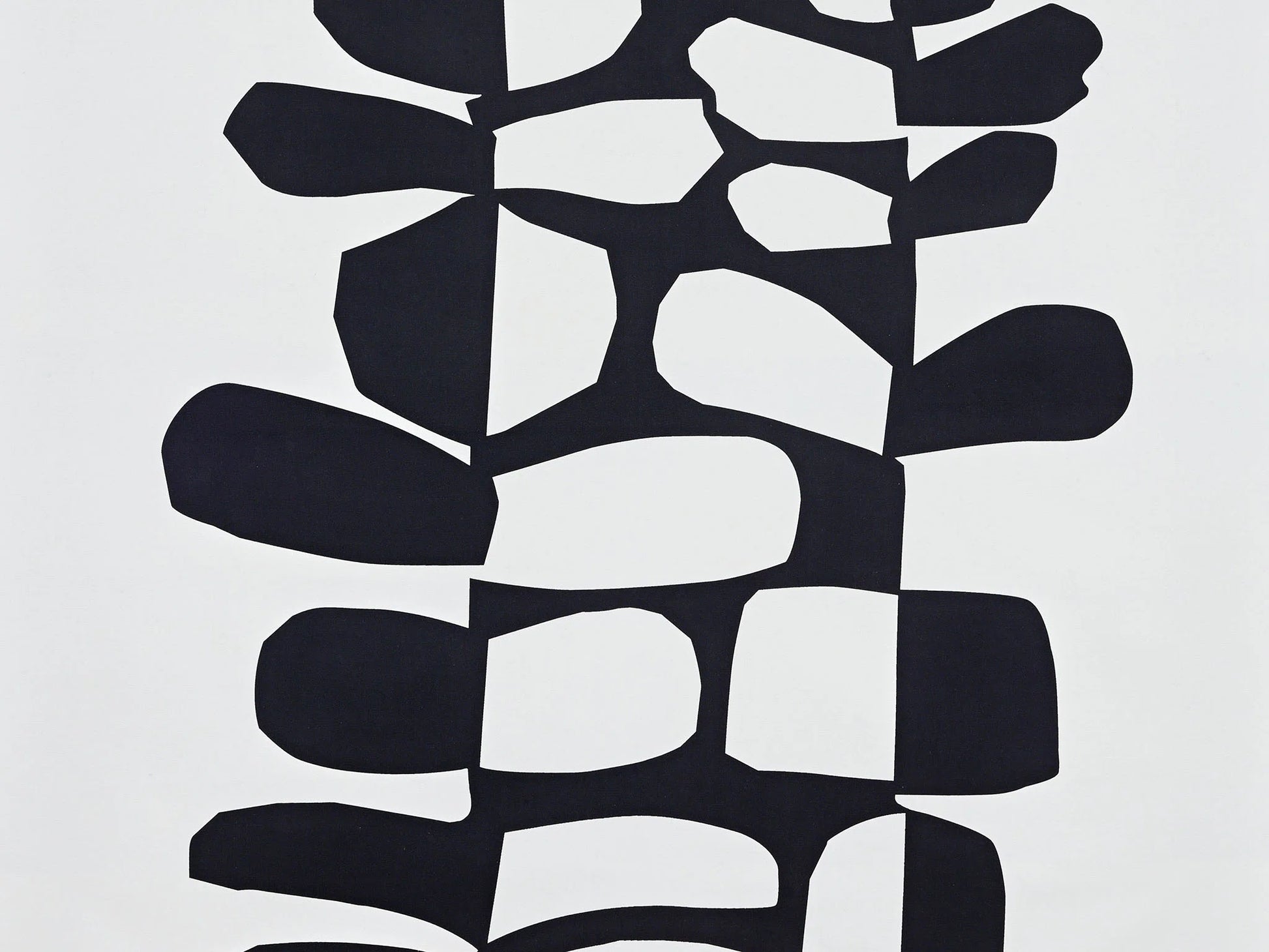 Pierre Frey Surprise - Noiretblanc