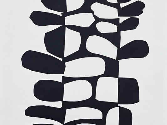 Pierre Frey Surprise - Noiretblanc