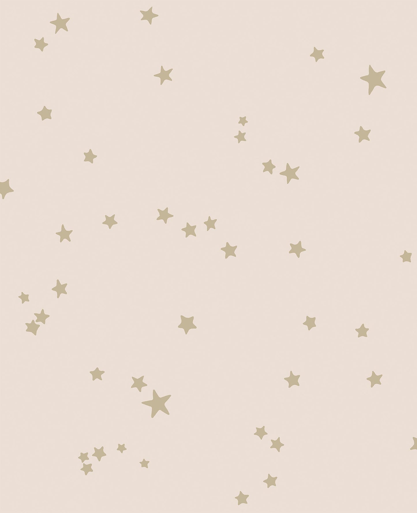 Cole & Son Stars - Metallic Gilver on Ballet Slipper