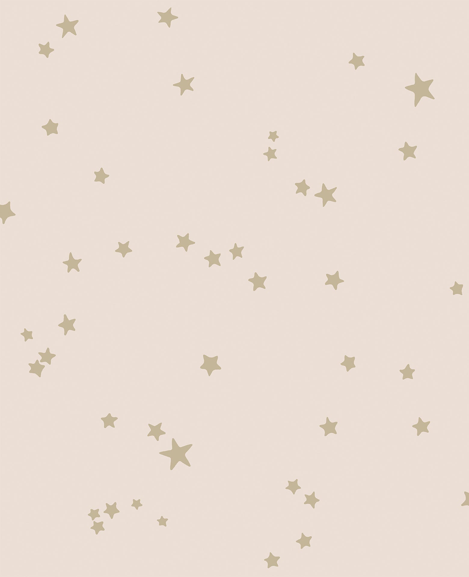 Cole & Son Stars - Metallic Gilver on Ballet Slipper