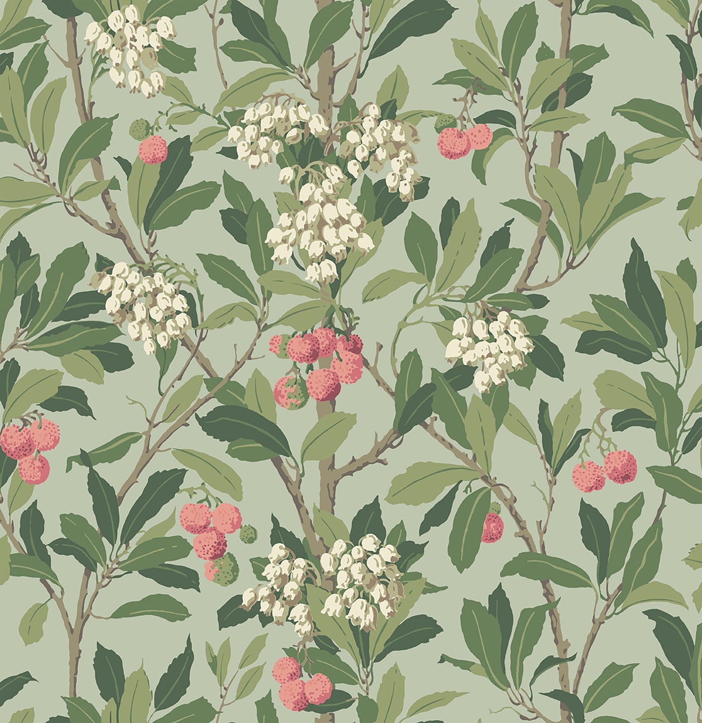 Cole & Son Strawberry Tree - Chalk, Rose & Forest Green on Eau Du Nil