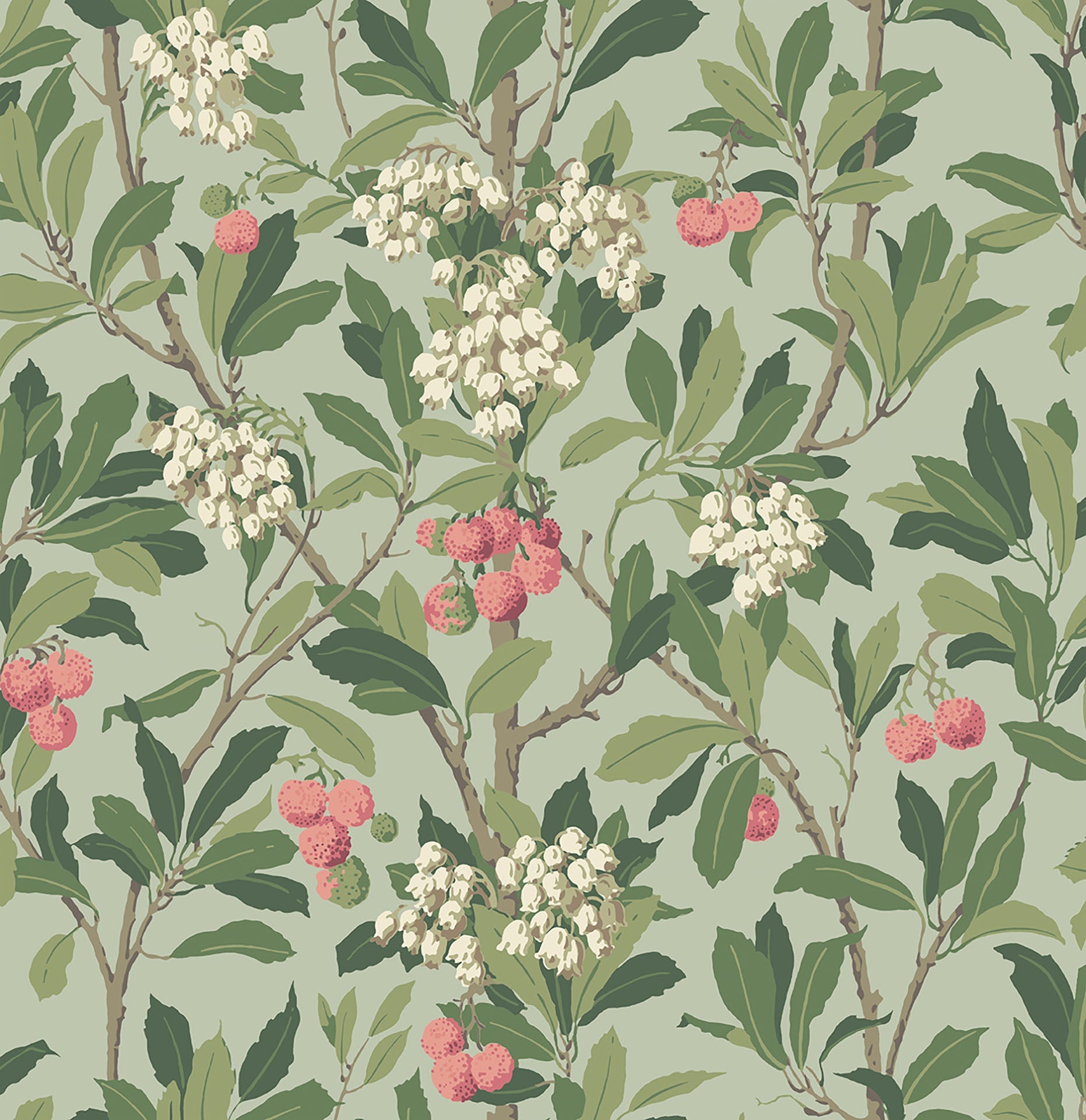 Cole & Son Strawberry Tree - Chalk, Rose & Forest Green on Eau Du Nil